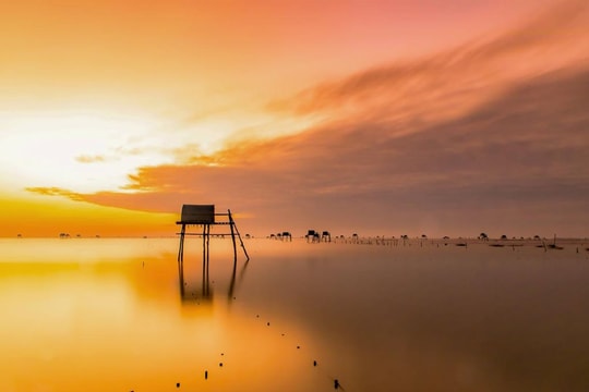Biển Đồng Châu Thái Bình - kinh nghiệm khám phá bãi biển hoang sơ, thanh bình