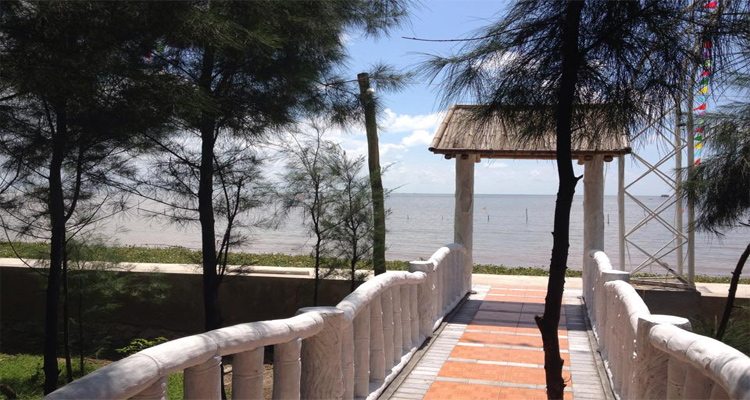 Du lịch Cồn Đen Thái Bình - hành trình khám phá bãi cồn đẹp nhất Thái Bình