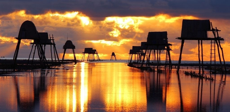 Du lịch Cồn Đen Thái Bình - hành trình khám phá bãi cồn đẹp nhất Thái Bình
