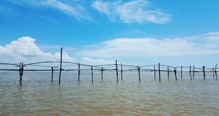 Du lịch Cồn Đen Thái Bình - hành trình khám phá bãi cồn đẹp nhất Thái Bình